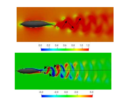  Non-dimensional velocity and  vorticity fieldsfor  fish swimming in undisturbed flow.