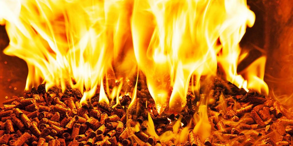 Energia da Biomassa LEA Laboratório de Energia e Ambiente